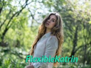 FlexibleKatrin