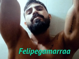 Felipegamarraa
