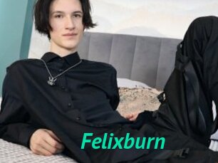 Felixburn