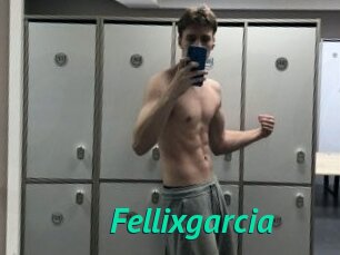 Fellixgarcia