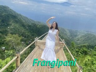 Frangipani