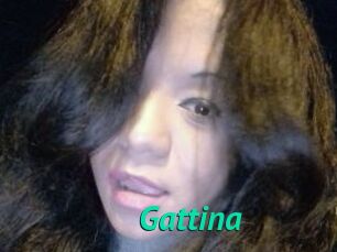 Gattina
