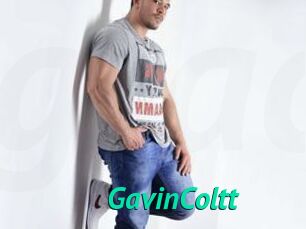 GavinColtt