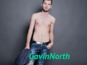 GavinNorth