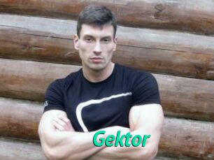 Gektor