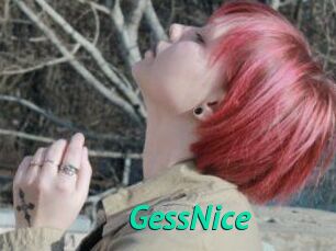 GessNice