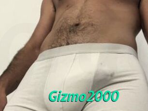 Gizmo2000