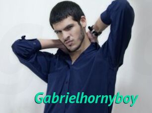 Gabrielhornyboy