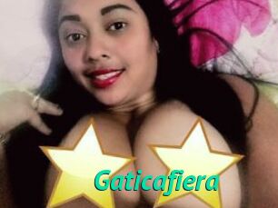 Gaticafiera