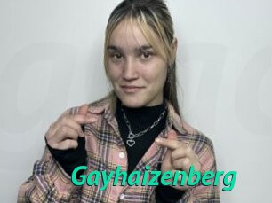Gayhaizenberg