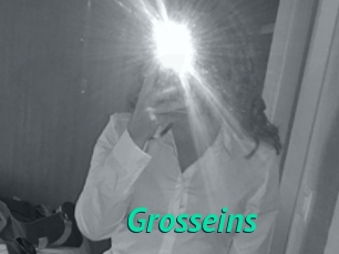 Grosseins