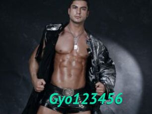 Gyo123456