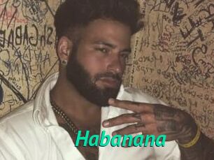Habanana