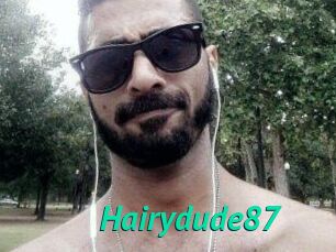 Hairydude87