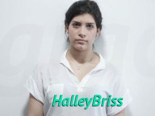 HalleyBriss