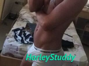 HarleyStuddy