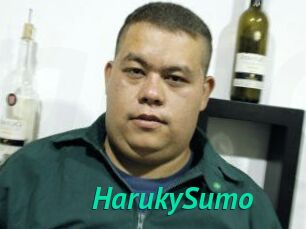 Haruky_Sumo