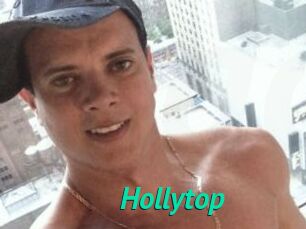 Hollytop
