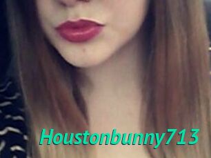 Houstonbunny713