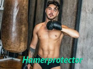 Hamerprotector