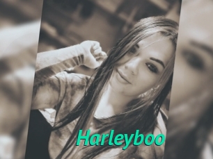 Harleyboo