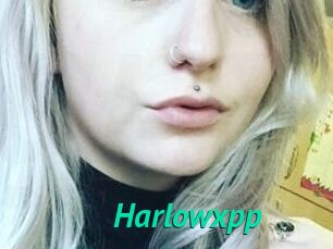 Harlowxpp