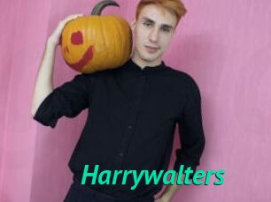 Harrywalters
