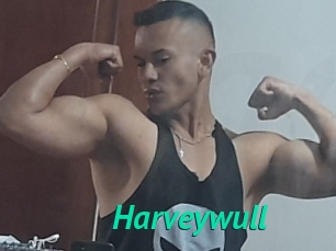 Harveywull