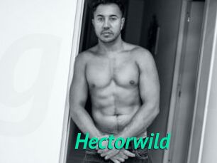 Hectorwild
