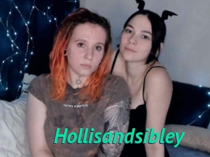Hollisandsibley