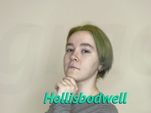 Hollisbodwell