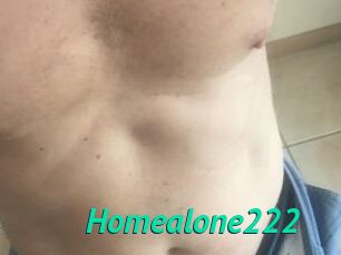 Homealone222