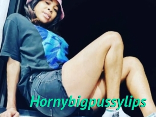 hornybigpussylips Gratis Camsex