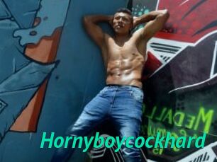 Hornyboycockhard