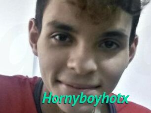 Hornyboyhotx