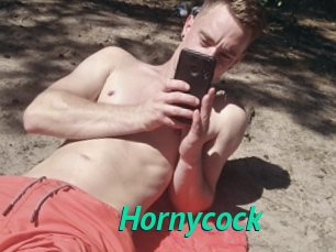 Hornycock