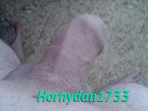 Hornydan1733
