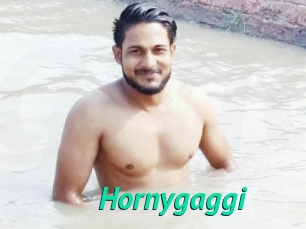 Hornygaggi