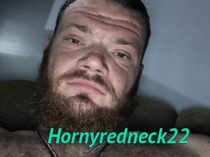 Hornyredneck22