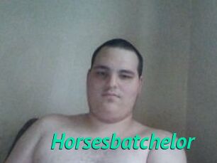 Horsesbatchelor