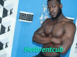 Hotbrentcub