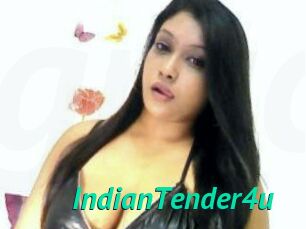 IndianTender4u