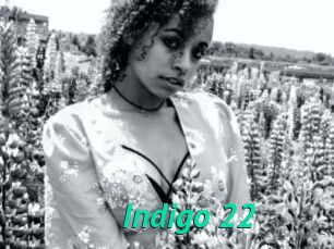 Indigo_22