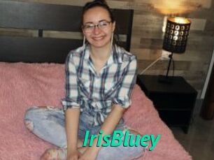 IrisBluey