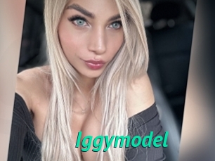Iggymodel