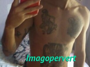 Imagopervert