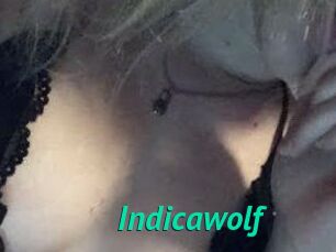 Indicawolf