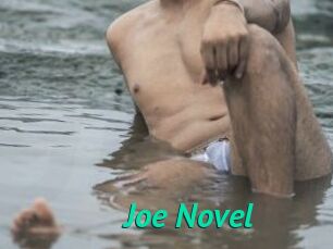 Joe_Novel