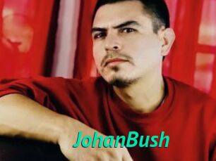 JohanBush