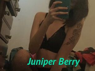 Juniper_Berry